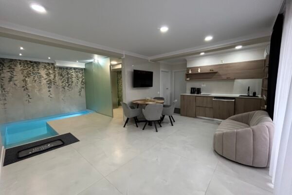 Apartament cu piscina interioara 101